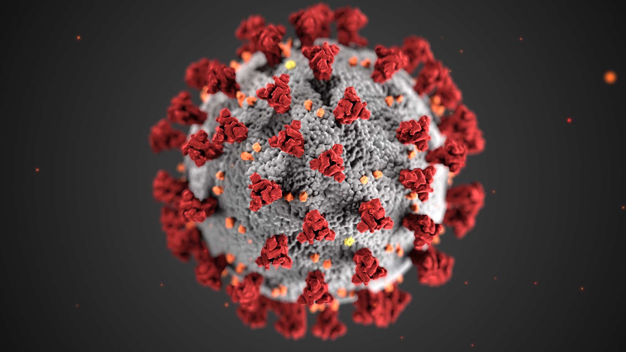 Épidémie de coronavirus, surpoids et obésité